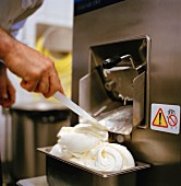 Vanilla ice cream being discharged from an ice cream maker