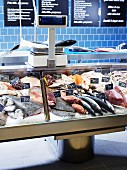 A fish counter with fresh fish