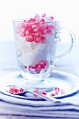 Coconut sorbet with pomegranate seeds