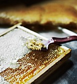 Close-up of honeycomb