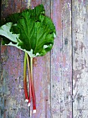 Rhubarb leaves on wooden surface, directly above