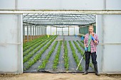 Worker standing outside polytunnel