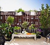 Plants on a balcony, Sweden