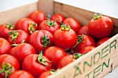 Fresh tomatoes in a crate