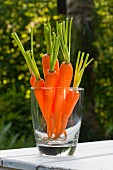 Peeled, washed raw carrots (crudités) in a glass on a table outdoors