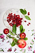 Cornel cherries and apples with leaves on a plate