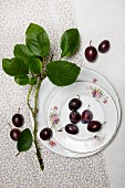 Plums with a twig and old plates on a cloth