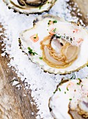 Oysters on salt, Sweden.