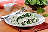 Cannelloni of spinach, cheese sauce gorgonzola Burgos
