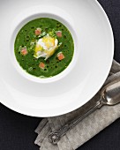 Green soup with salmon