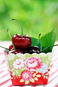 Cherries in cardboard punnet with floral pattern