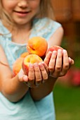 A young girl holding fresh peaches