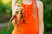 A girl holding carrots