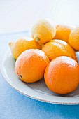 Oranges and lemons on plate