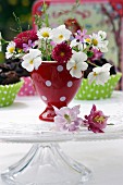Spring flowers in red, polka-dotted egg cup
