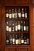 Assorted varieties of whisky on shelves on the wall