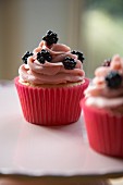 Cupcakes with blackberries