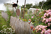 Greenhouses and overgrown summer garden behind bamboo fence with ceramic ornaments and decor made from utensils