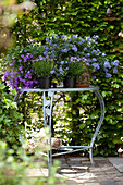 Arrangement of purple flowering garden plants on romantic garden table in front of green hedge