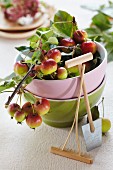 Ornamental apples in a stack of bowls with a mini rake and a mini spade