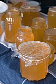 Jars of elderflower jelly