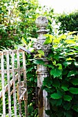 Rusty garden gate with hornbeam hedge growing over ornate post