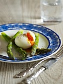 Green asparagus with a boiled egg