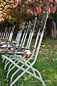 Row of garden chairs in autumnal garden