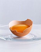 An egg yolk in the shell
