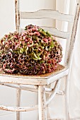 Hortensiendolden auf Flechtstuhl im weissen Shabby-Look