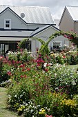Farbenfroh blühende Blumenrabatte vor grau-weißem Wohnhaus