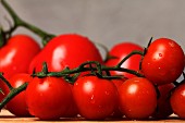 Fresh, wet vine tomatoes