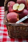 Äpfel (Royal Gala) im Korb mit Messer auf karierter Picknickdecke