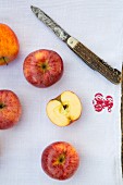 Apples (Royal Gala) with a knife on a tea towel