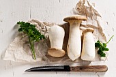 King trumpet mushrooms (Pleurotus eryngii) with parsley on packing paper, with a knife