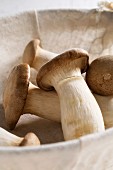 King trumpet mushrooms (Pleurotus eryngii) in a basket