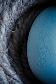 Blauschaliges Ei in einem Körbchen