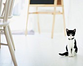 Black and white kitten sitting