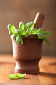Basil in a wooden mortar