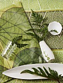 Arrangement aus liegender weißer Vase mit Farnblatt und weißen Porzellanschalen auf Stoffunterlage im Dschungel-Look