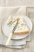 Gorgonzola on a plate with a knife