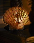 Scallop shell with gold leaf