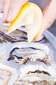 Fresh Lemon Being Squeezed Over Oysters on the Half Shell