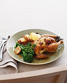 Roast spatchcock with broccolini and roast potatoes