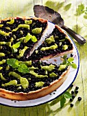 Blueberry and pistachio tart with mint pesto