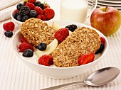 Muesli biscuits with yoghurt, berries and apple