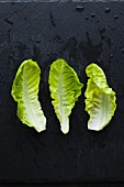 Three lettuce leaves