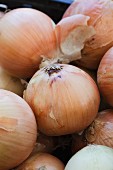 Organic Yellow Onions at a Farmers Market