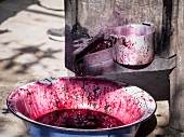 Traditional wine making - juice coming out from grapes crushed by feet.