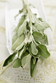 Fresh sage in a glass tray